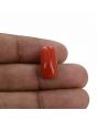 Red Coral (Moonga) - 10.32 Carat 