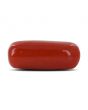 Red Coral (Moonga) - 9.67 Carat 