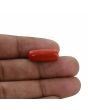 Red Coral (Moonga) - 9.67 Carat 
