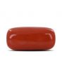 Red Coral (Moonga) - 12.71 Carat 