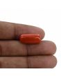 Red Coral (Moonga) - 12.71 Carat 