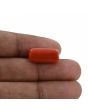 Red Coral (Moonga) - 12.71 Carat 