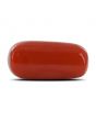 Red Coral (Moonga) - 10.32 Carat 
