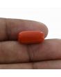 Red Coral (Moonga) - 10.32 Carat 