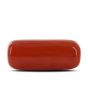 Red Coral (Moonga) - 10.35 Carat 