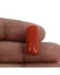 Red Coral (Moonga) - 10.35 Carat 