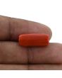Red Coral (Moonga) - 10.35 Carat 