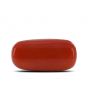 Red Coral (Moonga) - 10.36 Carat 
