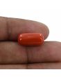 Red Coral (Moonga) - 10.36 Carat 