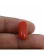 Red Coral (Moonga) - 10.36 Carat 