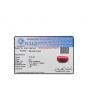 Red Coral (Moonga) - 10.36 Carat 