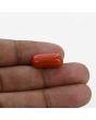Red Coral (Moonga) - 8.94 Carat 