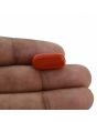 Red Coral (Moonga) - 8.94 Carat 
