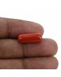 Red Coral (Moonga) - 9.26 Carat 