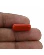 Red Coral (Moonga) - 9.26 Carat 