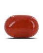 Red Coral (Moonga) - 10.6 Carat 