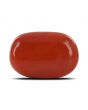 Red Coral (Moonga) - 10.6 Carat 