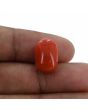 Red Coral (Moonga) - 10.6 Carat 