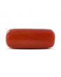 Red Coral (Moonga) - 10.26 Carat 