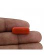 Red Coral (Moonga) - 10.26 Carat 