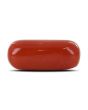 Red Coral (Moonga) - 11.91 Carat 