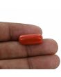 Red Coral (Moonga) - 11.91 Carat 
