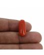 Red Coral (Moonga) - 11.91 Carat 
