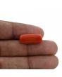 Red Coral (Moonga) - 11.91 Carat 
