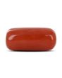 Red Coral (Moonga) - 11.65 Carat 