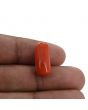 Red Coral (Moonga) - 11.65 Carat 
