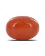 Red Coral (Moonga) - 24.32 Carat 