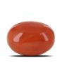 Red Coral (Moonga) - 24.32 Carat 