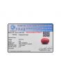 Red Coral (Moonga) - 24.32 Carat 