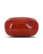Red Coral (Moonga) - 17.14 Carat 