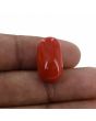 Red Coral (Moonga) - 17.14 Carat 