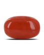 Red Coral (Moonga) - 13.61 Carat 