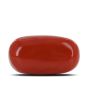 Red Coral (Moonga) - 11 Carat 