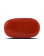 Red Coral (Moonga) - 11 Carat 