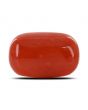 Red Coral (Moonga) - 12.11 Carat