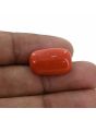 Red Coral (Moonga) - 12.11 Carat