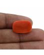 Red Coral (Moonga) - 12.11 Carat