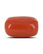 Red Coral (Moonga) - 8.6 Carat 