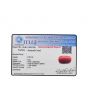 Red Coral (Moonga) - 8.6 Carat 