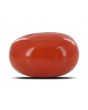 Red Coral (Moonga) - 5.89 Carat 
