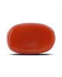 Red Coral (Moonga) - 5.89 Carat 