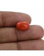 Red Coral (Moonga) - 5.89 Carat 