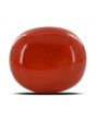 Red Coral (Moonga) - 30.6 Carat 