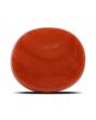 Red Coral (Moonga) - 30.6 Carat 