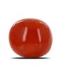 Red Coral (Moonga) - 11.59 Carat 
