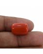 Red Coral (Moonga) - 13 Carat